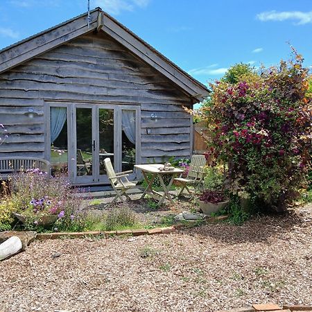 Three Oaks Nursery Chichester Exterior photo
