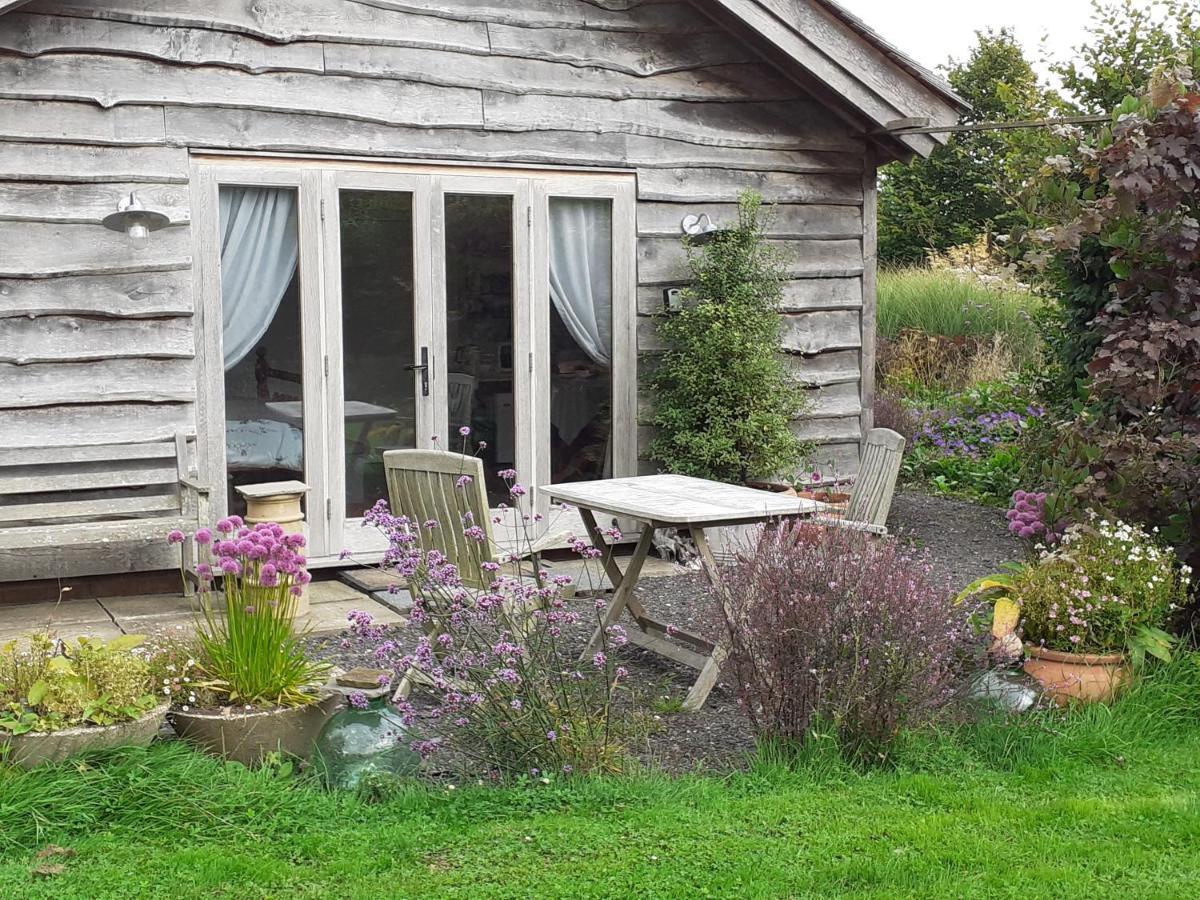 Three Oaks Nursery Chichester Exterior photo